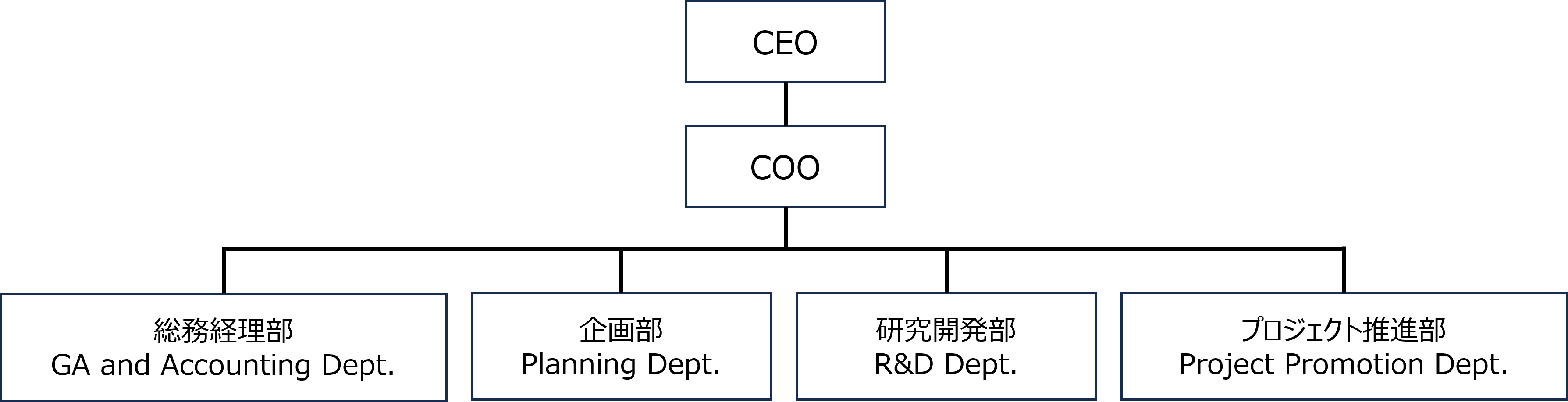 company structure